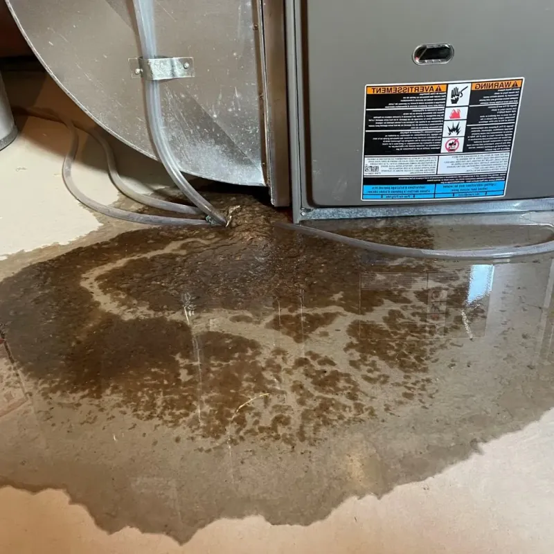 Pipe Burst and Leak Restoration in Ballston Spa, NY